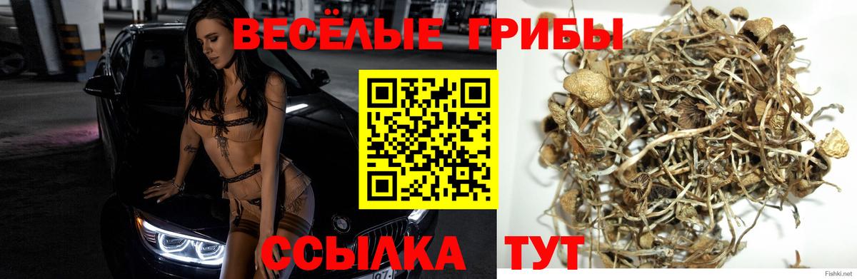 Лесозаводск  Псилоцибиновые грибы ЛСД  Вход с VPN 